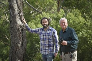 Community asked to hunt for hollows