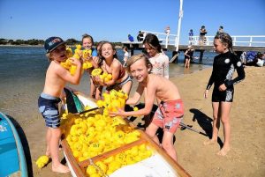 A sea of yellow