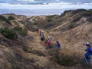 Students protect coastal dunes