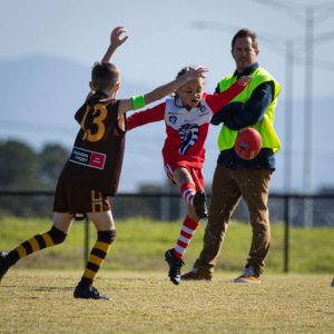 Mixed results for the Cobras