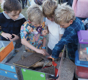 Earth Fest attracts more than 2000 festival goers