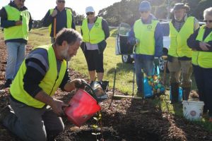 Green thumb Rotarians plant 100 trees in Ocean Grove