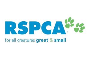Woman guilty of animal cruelty