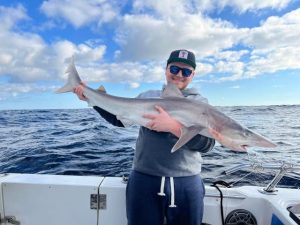 Salmon running riot in the bay