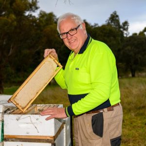 Bee-ing wary of varroa mite