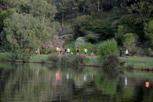 Barwon River litter monitored