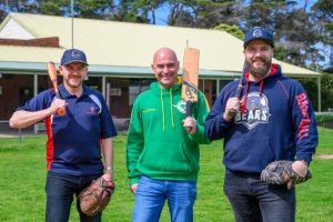 Libs pledge for Wallington