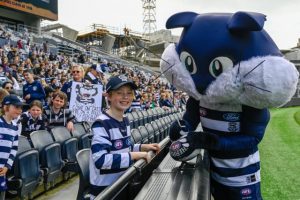 Street parade for fans as Cats clinch premiership