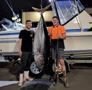 Barrel tuna on the chew off Barwon Heads