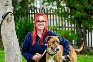 Mission Adoptable is underway