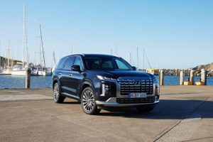 Hyundai moves people with aplomb