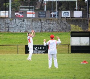 Debutant wrecks Inverleigh top order