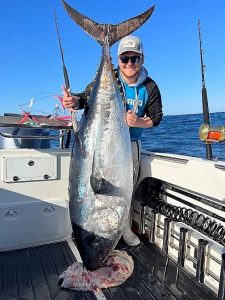 Big tuna on the chew