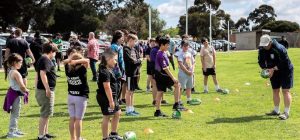 Sharks hope to attack new season