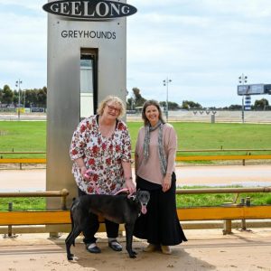 Trivia to make all abilities ball a reality