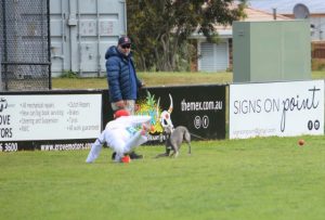 Sharks claim first innings points