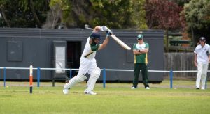 Finally, a great day for cricket
