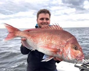 Snapper on the bite