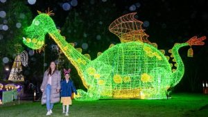 Lights set to dazzle