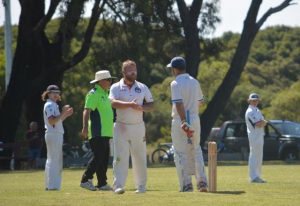 Mallett makes unbeaten 169