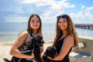 Dog beach ban