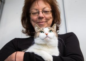 Forever homes wanted for moggies