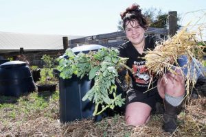Food waste diverts from landfill