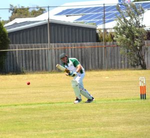 Seagulls too good for Wallington
