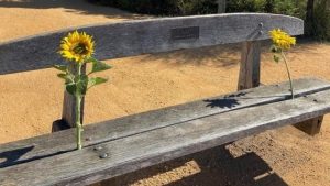 Memorial seat reinstalled after public backlash