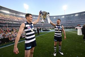 Cats are cup favourites