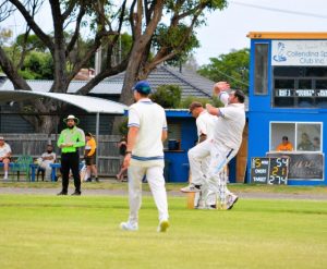Seagulls win flag to earn promotion