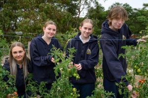 School farm project grows