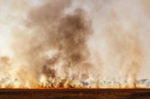 Planned burning works to commence