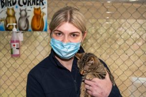 Foster cats desperately need homes