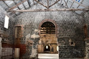 Paper mills tours flourishing