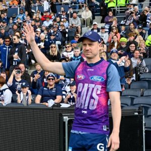 Cats back on home turf