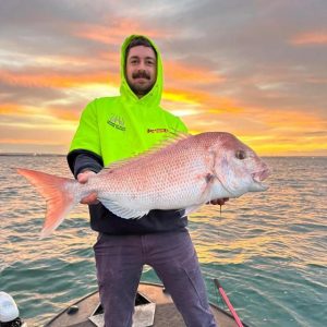 Snapper still hanging around the bay