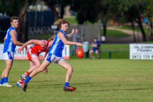 Seagulls and Tigers still the teams to beat