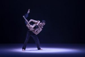 Sydney Dance Company takes dance to new level