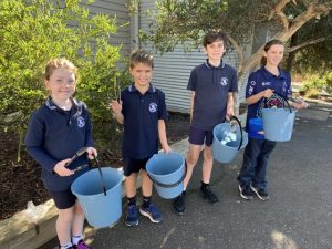 School leads way in sustainability