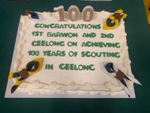 Scouts celebrate 100 years