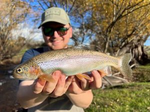 Whiting still on the chew