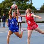 ognetball_336328_03.JPG