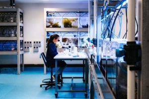 Deakin continues marine works