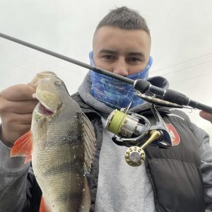 Garfish crank it up a gear