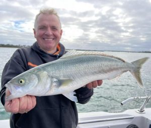 Salmon remain consistent