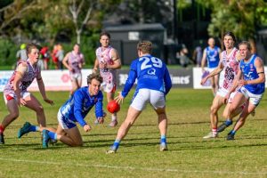 Seagulls back to their best