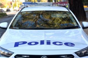 Woman dies in overnight house fire