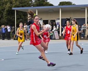 Winning start for young Grubbers