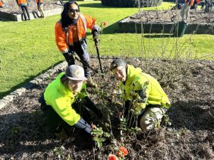 Hands-on learning for horticulture students